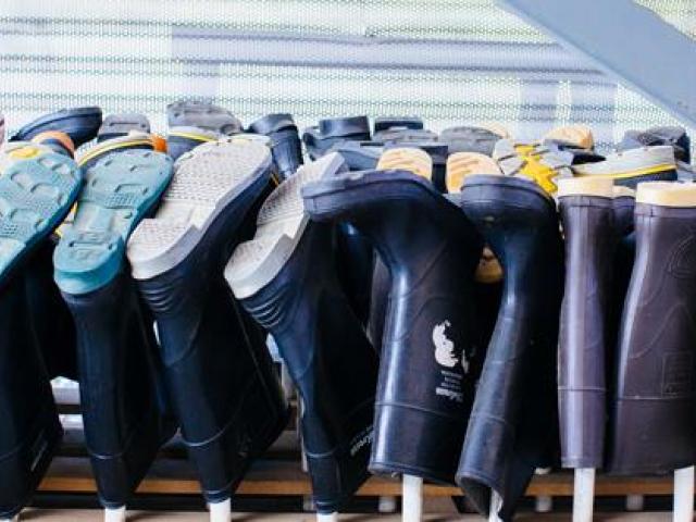 Boots in a row